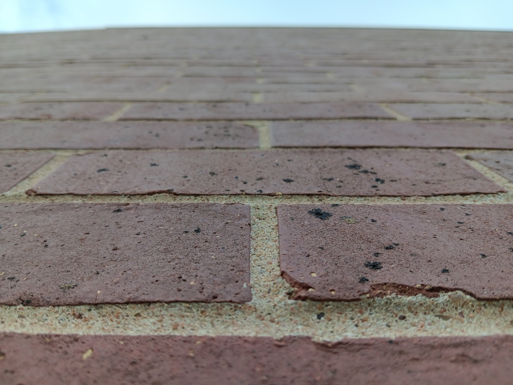 Bricks on a school building angled to the sky.