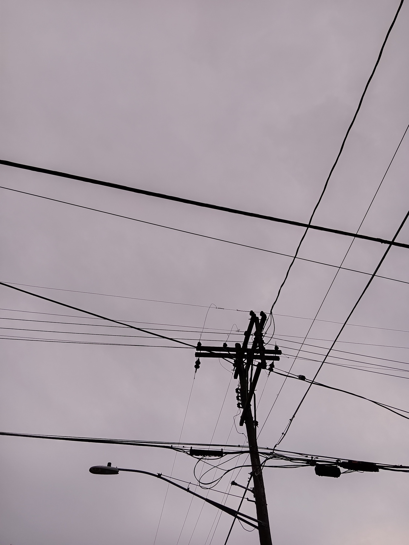 power lines against a grey sky.