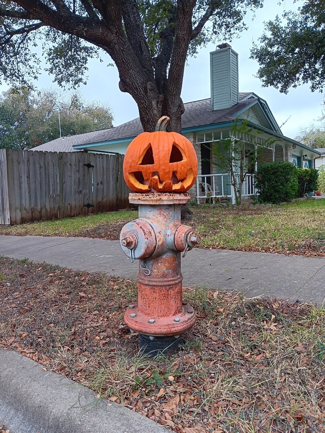 pumpkin on fire hydrant.